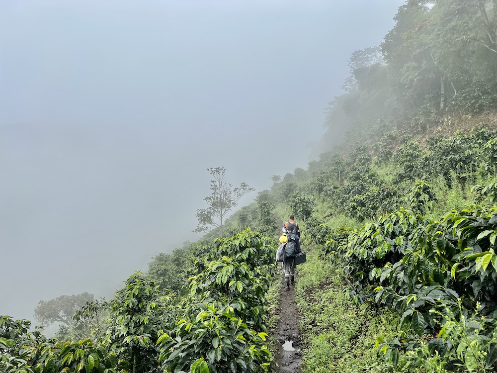 Collective Mining grows Guayabales gold zone in Colombia