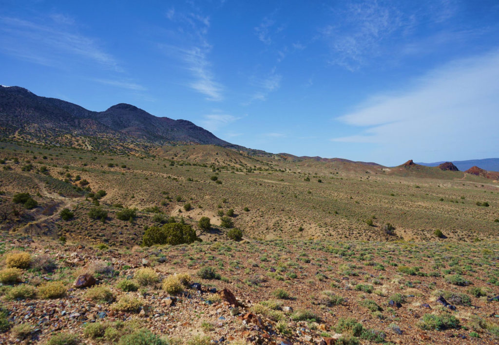 Guardian bets on Nevada tungsten revival