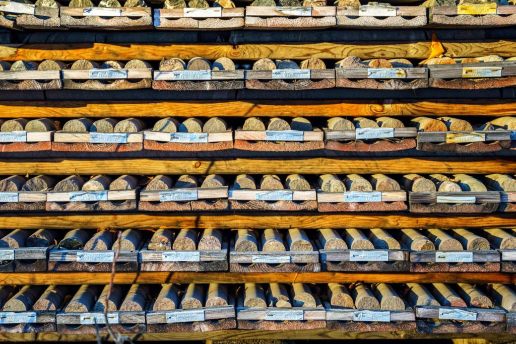 JV Article: Fortune Bay pushes Goldfields exploration, development amid updated economics