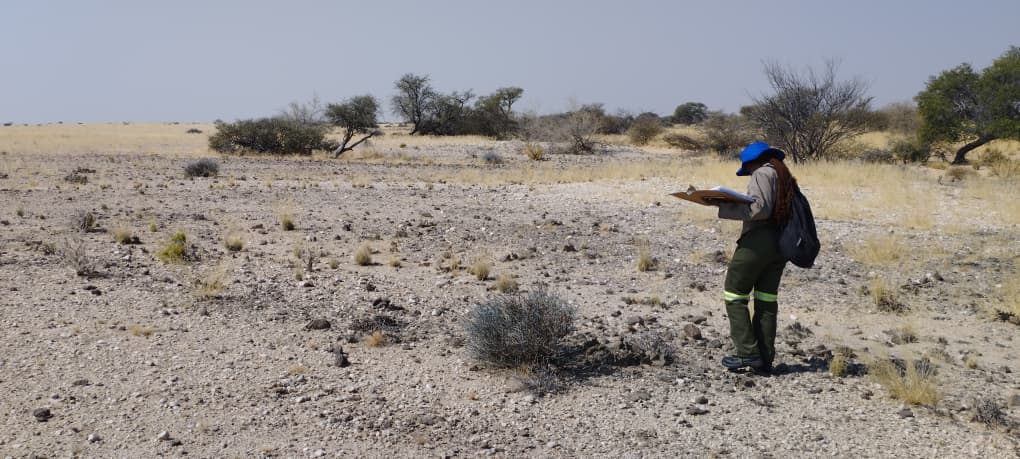 JV article: ReeXploration plans first drill at Namibia’s Eureka